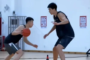  哪里有适合分卫的训练营？全面解析与推荐